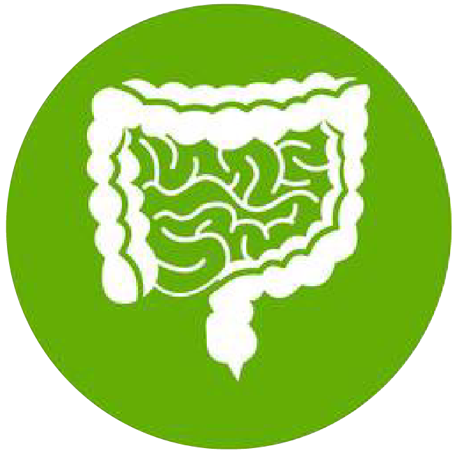 關(guān)注職場“腸”態(tài)，守護(hù)員工健康——上海格瑞特特邀消化內(nèi)科專家公益系列講座（4）(圖1)